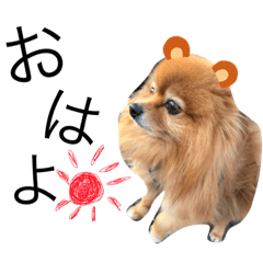 [LINEスタンプ] おぺぺ＆おとろ