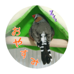 [LINEスタンプ] ボスとモブ子