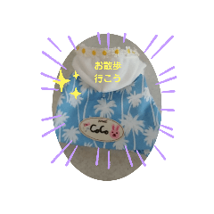 [LINEスタンプ] 日常で使えるココスタ★★★★