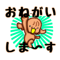 [LINEスタンプ] トイプー少年