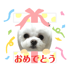 [LINEスタンプ] マナちゃんスタンプmana