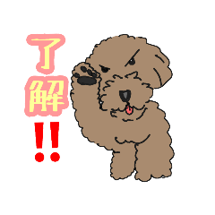 [LINEスタンプ] 普段使える言葉 トイプー、シュナ、色々