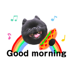 [LINEスタンプ] 黒ポメ虎丸＆陽向