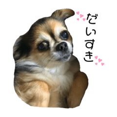 [LINEスタンプ] どん兵衛 日常