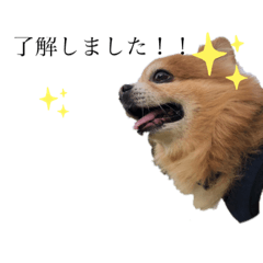 [LINEスタンプ] ミルトコトコ