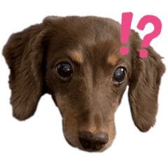 [LINEスタンプ] ころじいさん2