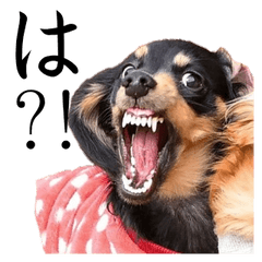 [LINEスタンプ] ナナプーぴよ子のドギツイスタンプ