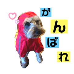 [LINEスタンプ] 今日も元気なバモたん
