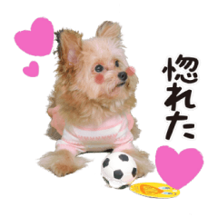 [LINEスタンプ] 191030130652.61ULa0v.