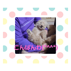 [LINEスタンプ] ハッピースマイル6