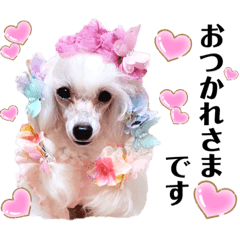 [LINEスタンプ] 森の妖精ワンパラダイス