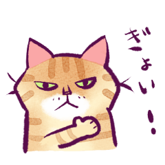 [LINEスタンプ] イケメン茶トラ猫スタンプ