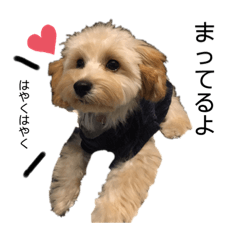 [LINEスタンプ] ミルつむ生活