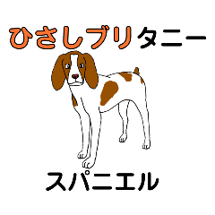 [LINEスタンプ] くだらない日常会話