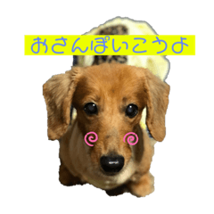 [LINEスタンプ] みにちゅあだっくすのかれん