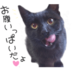 [LINEスタンプ] ザギちゃん＆トワくん☆スタンプ2