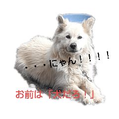 [LINEスタンプ] 俺スタンプ 4（なんでや編）