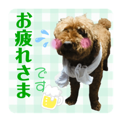 [LINEスタンプ] ペットのモカくんスタンプ③