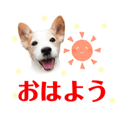 [LINEスタンプ] ルークの季節