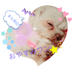 [LINEスタンプ] 癒しのマリンスタンプ