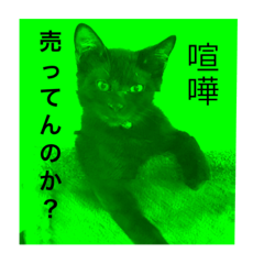 [LINEスタンプ] ちょい怖黒猫スタンプの画像（メイン）