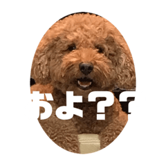 [LINEスタンプ] イッヌフレンズ2