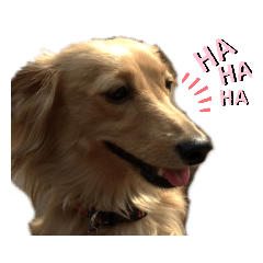 [LINEスタンプ] ツナぴよ②