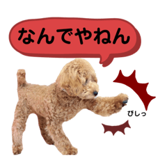 [LINEスタンプ] 大人になったもなたんスタンプ