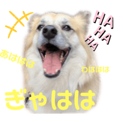 [LINEスタンプ] ムサシの⭐️む vol.2