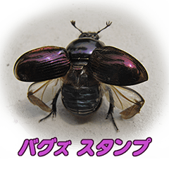 [LINEスタンプ] バグズスタンプ