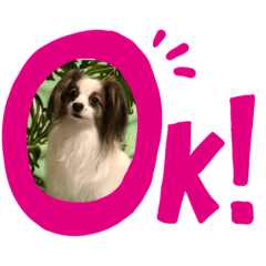 [LINEスタンプ] パピヨンルークの可愛いスタンプ！