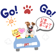 [LINEスタンプ] ジャックラッセルの日常