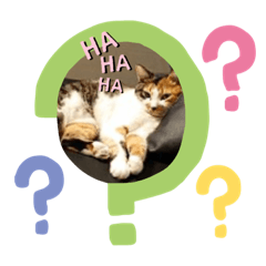 [LINEスタンプ] ベルandリン