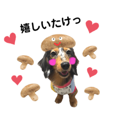 [LINEスタンプ] ジャックのスタンプだよ