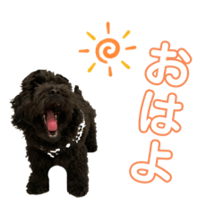 [LINEスタンプ] ろっくろっくろっく
