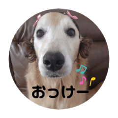 [LINEスタンプ] カンナすたんぷ