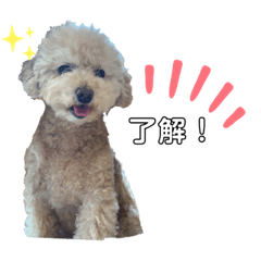 [LINEスタンプ] ティナのきもち。2