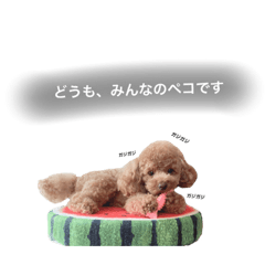 [LINEスタンプ] おペコさん