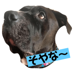 [LINEスタンプ] 金太郎すたんぷ