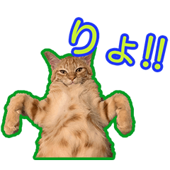 [LINEスタンプ] こじとあずき