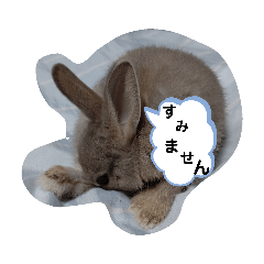 [LINEスタンプ] うさぎスタ★ココ