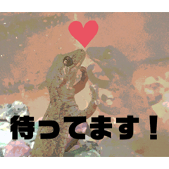 [LINEスタンプ] 今日のアニエス