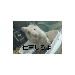 [LINEスタンプ] くー＆きー