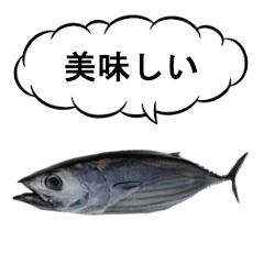 [LINEスタンプ] 続・カツオ