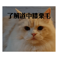 [LINEスタンプ] ラガマフィンのさすけ その3