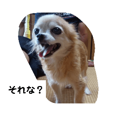 [LINEスタンプ] 俺スタンプ  5（？編）