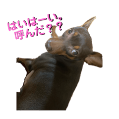 [LINEスタンプ] モッチーのウォーターフェスティバル！