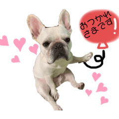 Booの毎日❤️❤️❤️