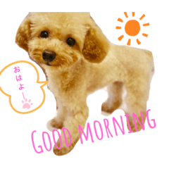 [LINEスタンプ] 毎日使える！めいの日常♡