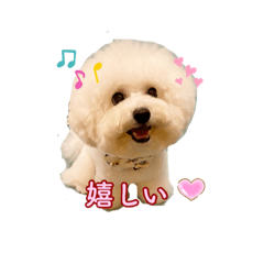 [LINEスタンプ] ビション わらび